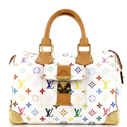 Louis Vuitton Speedy Handbag Multicolor