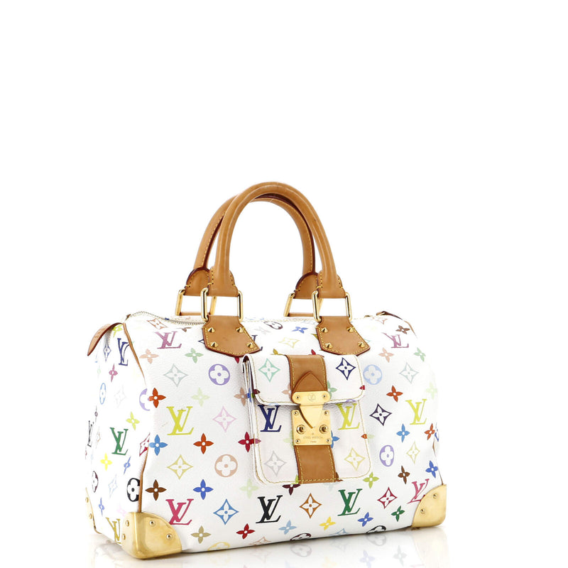 Louis Vuitton Speedy Handbag Multicolor