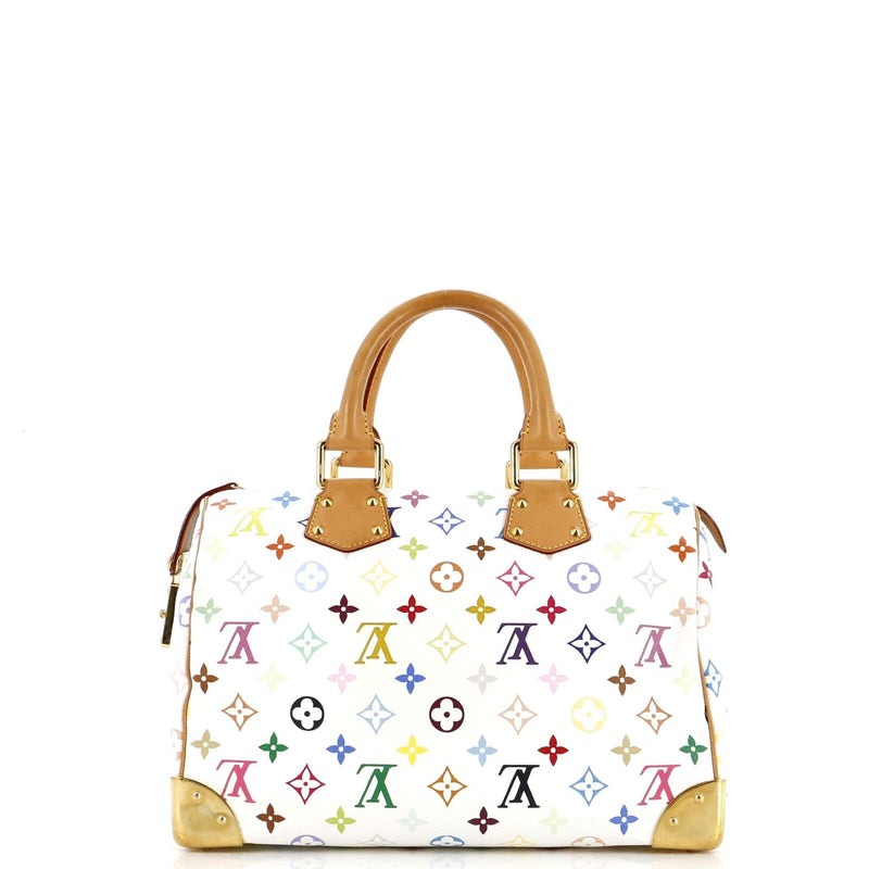 Louis Vuitton Speedy Handbag Multicolor