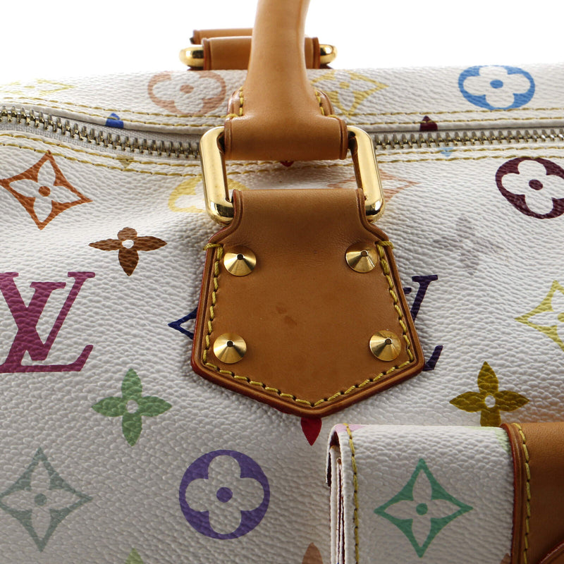 Louis Vuitton Speedy Handbag Multicolor