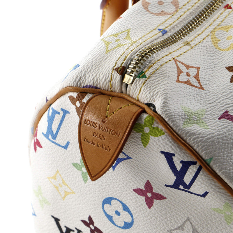 Louis Vuitton Speedy Handbag Multicolor