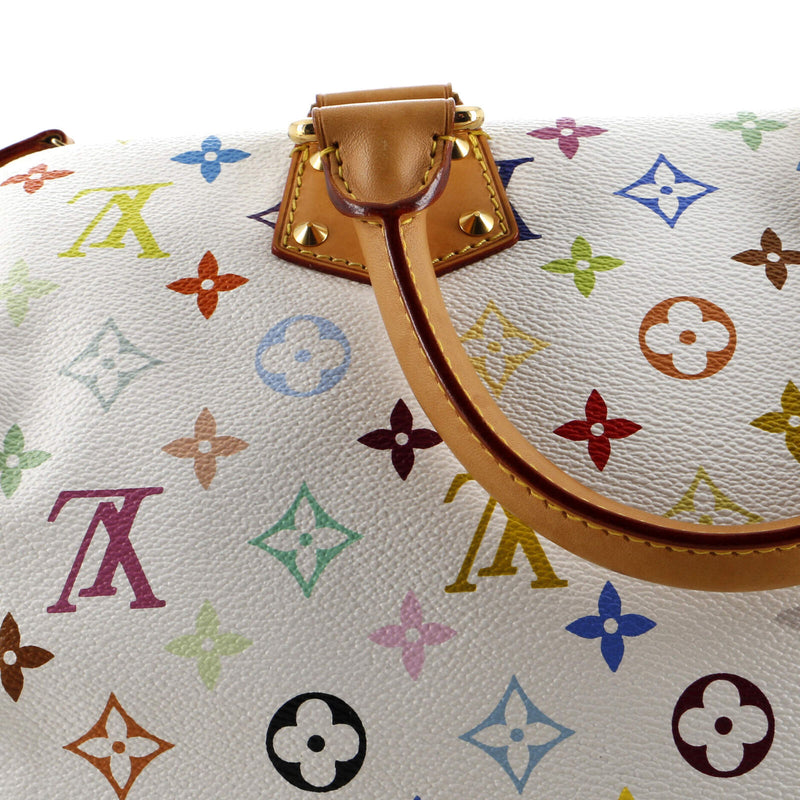 Louis Vuitton Speedy Handbag Multicolor