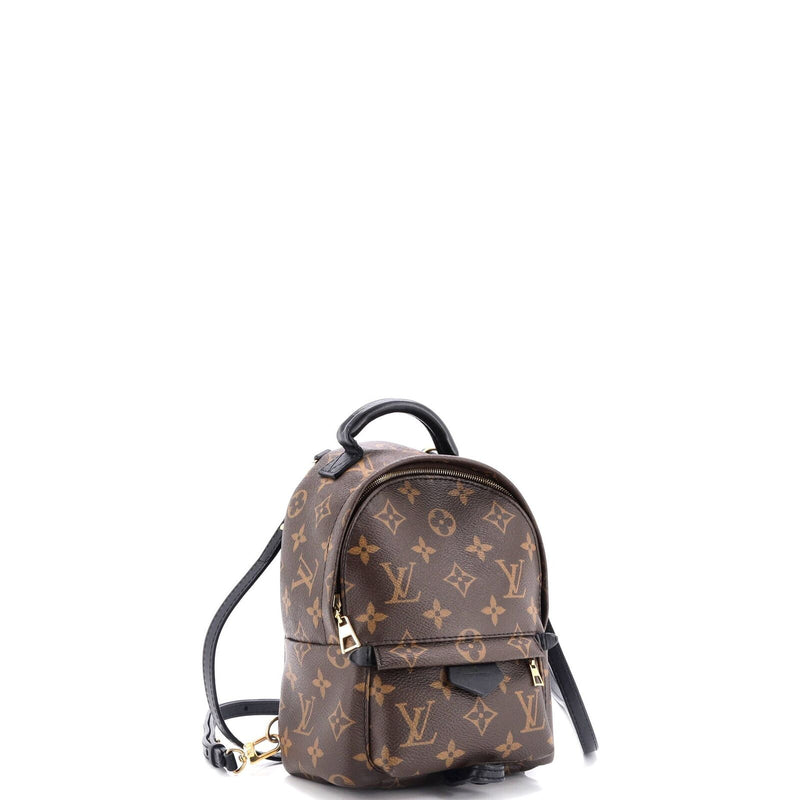 Louis Vuitton Palm Springs Backpack