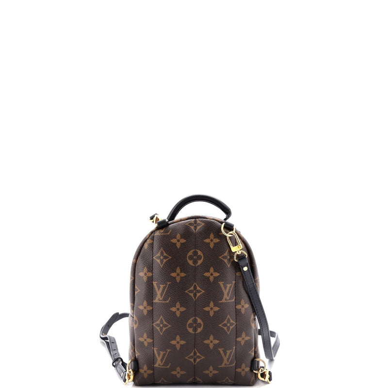 Louis Vuitton Palm Springs Backpack