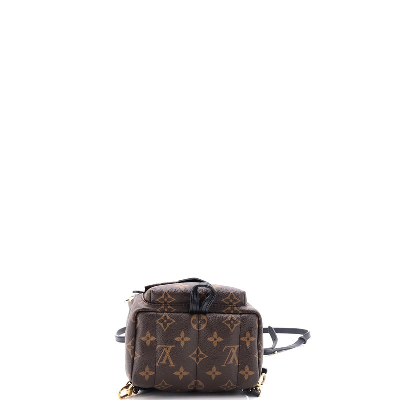 Louis Vuitton Palm Springs Backpack