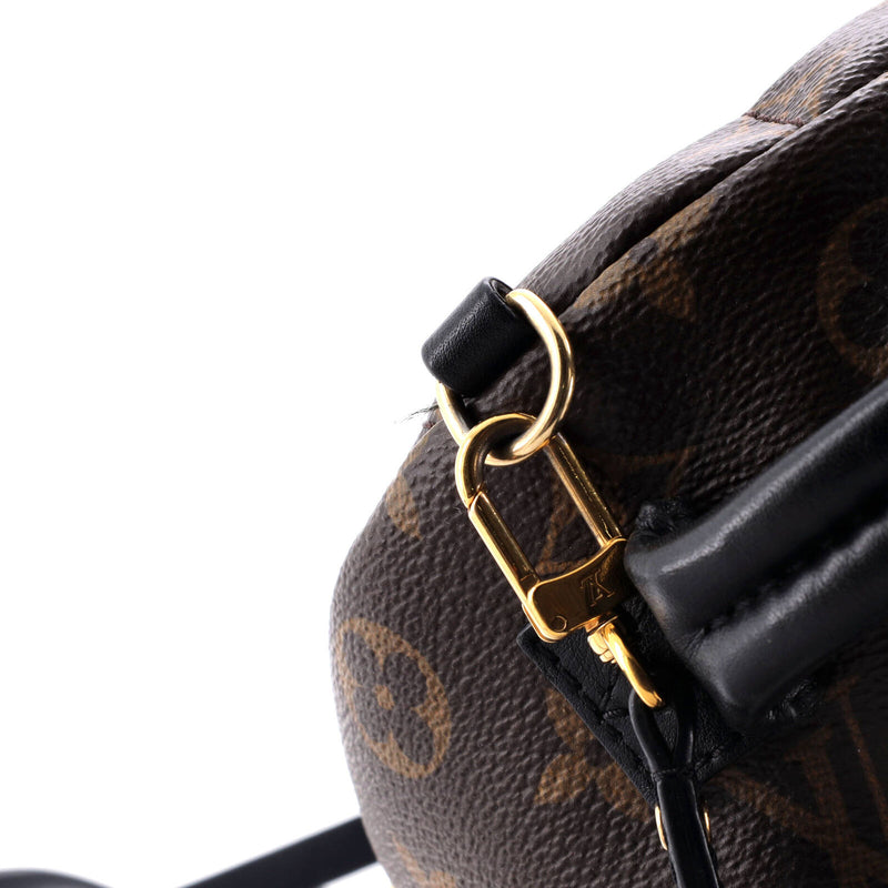 Louis Vuitton Palm Springs Backpack