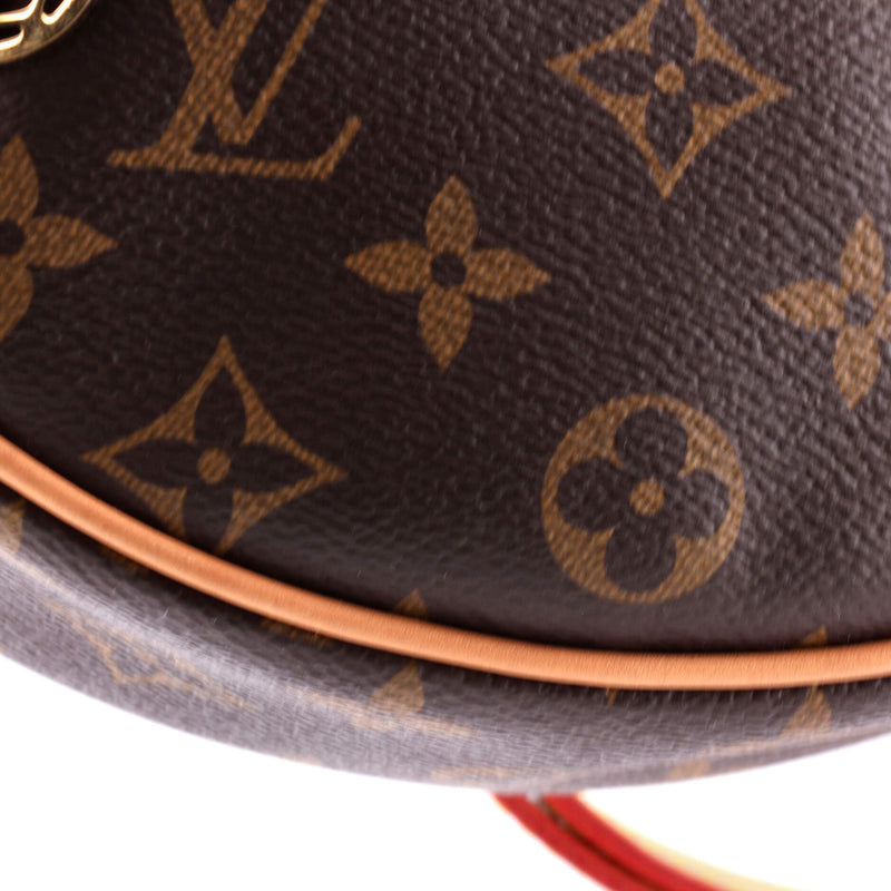 Louis Vuitton Loop Handbag Canvas