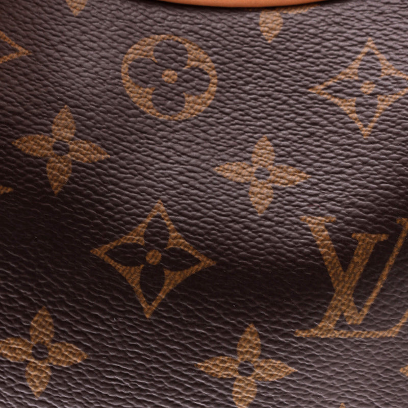 Louis Vuitton Loop Handbag Canvas