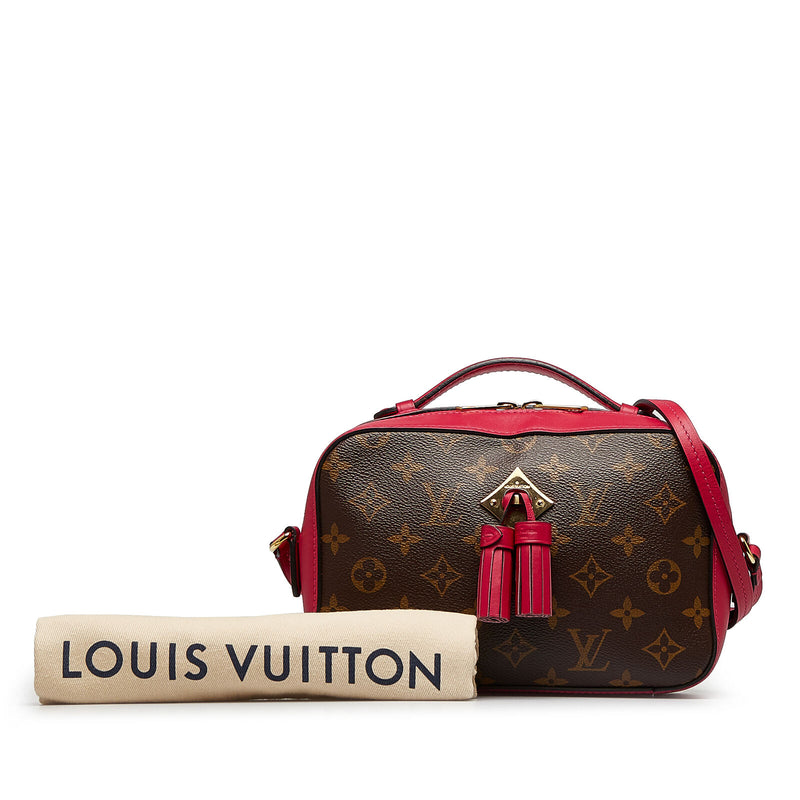 Louis Vuitton Saintonge Brown