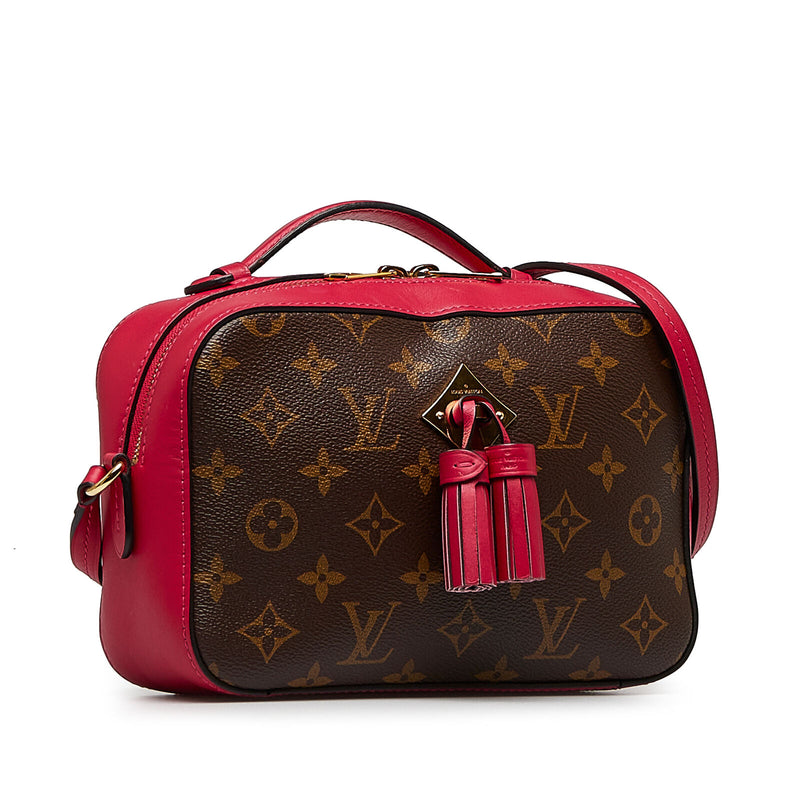 Louis Vuitton Saintonge Brown