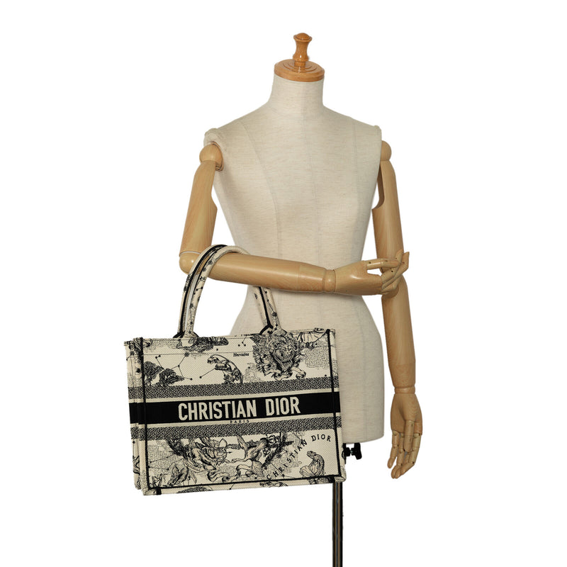 Dior Small Zodiac Book Tote White