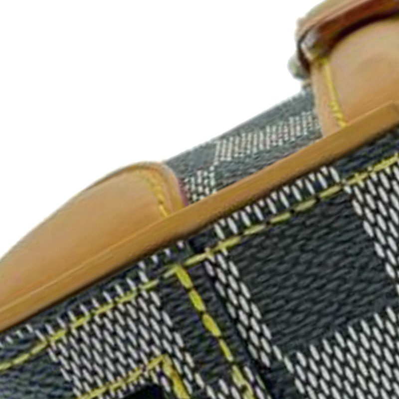 Louis Vuitton Damier Colors