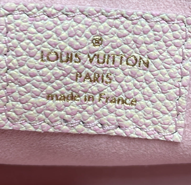 Louis Vuitton Multi Pochette Accessoires