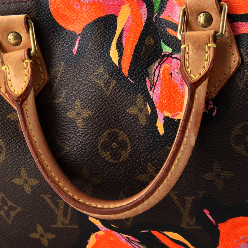 Louis Vuitton Speedy Handbag Limited