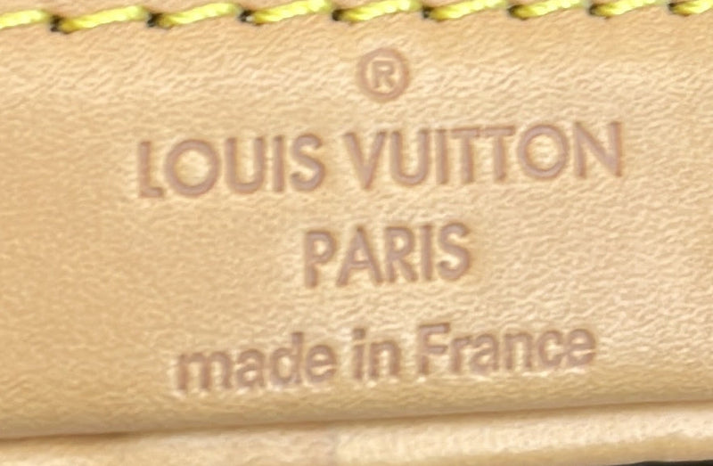 Louis Vuitton Noe Nm Handbag Canvas Nano