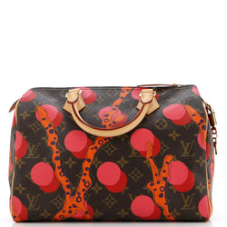 Louis Vuitton Speedy Handbag Limited