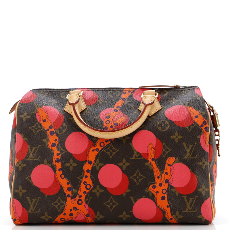 Louis Vuitton Speedy Handbag Limited