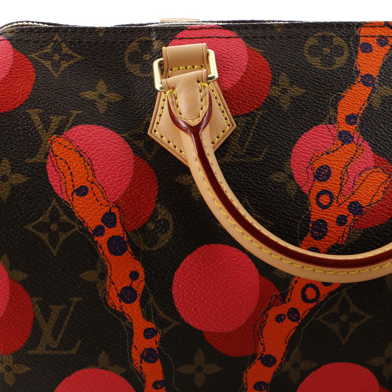 Louis Vuitton Speedy Handbag Limited