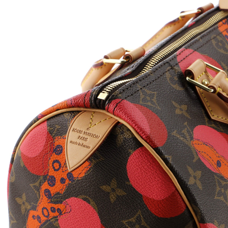 Louis Vuitton Speedy Handbag Limited