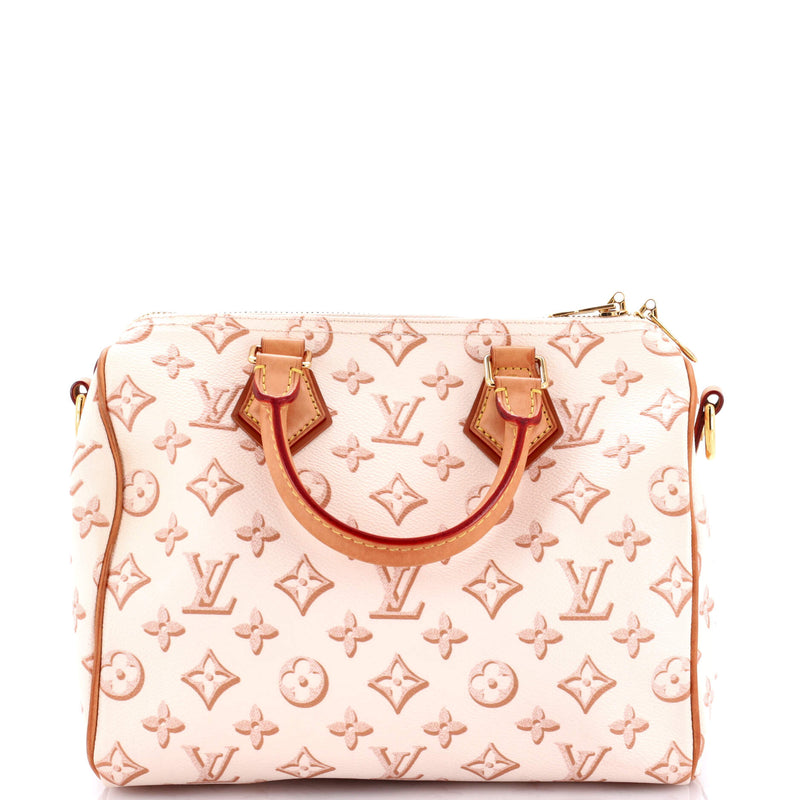 Louis Vuitton Speedy Bandouliere Bag