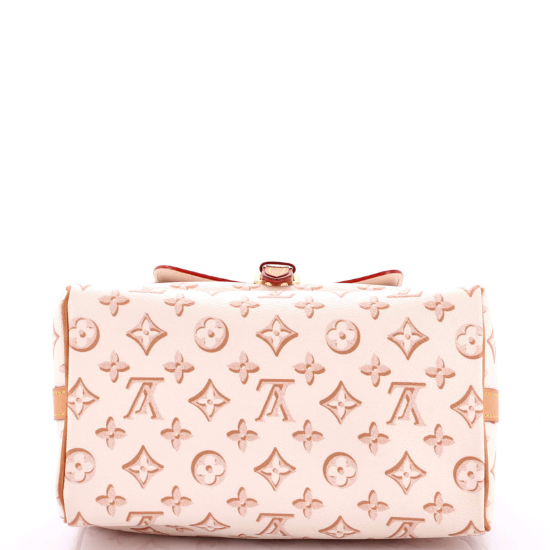 Louis Vuitton Speedy Bandouliere Bag