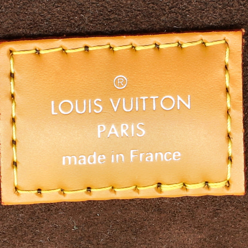 Louis Vuitton Cluny Top Handle Bag Epi