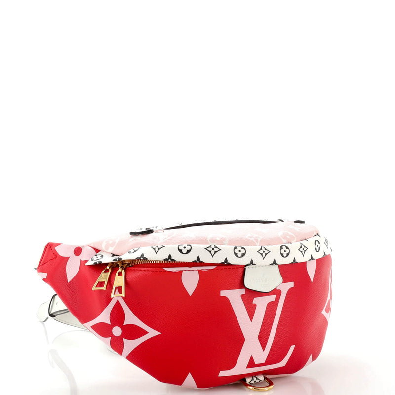 Louis Vuitton Bum Bag Limited Edition