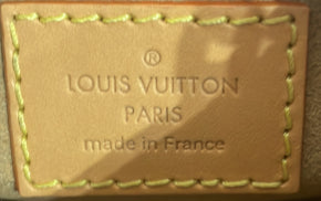 Louis Vuitton Loop Handbag Canvas