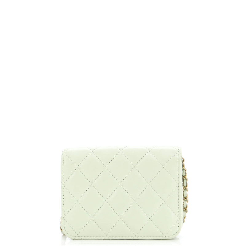 Chanel Pearl Crush Flap Clutch With