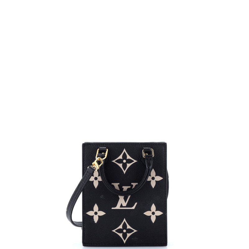 Louis Vuitton Petit Sac Plat Bag Bicolor