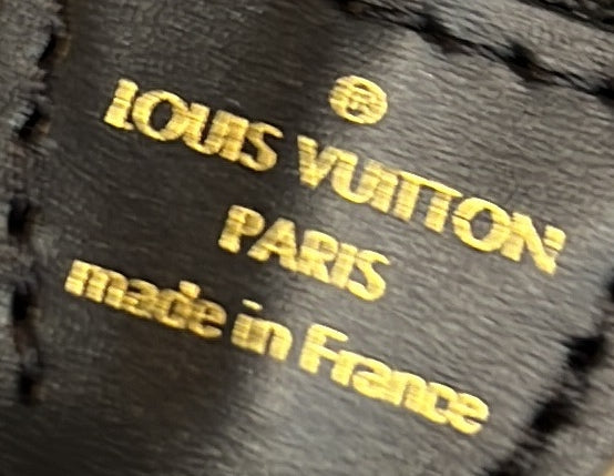 Louis Vuitton Pochette Accessoires Giant