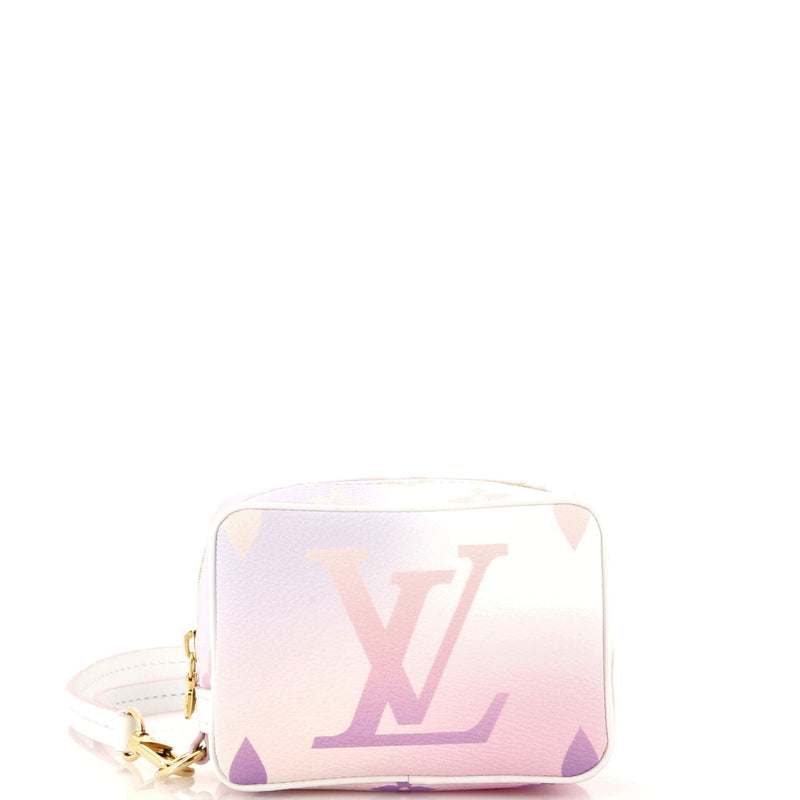 Louis Vuitton Wapity Case Spring In The