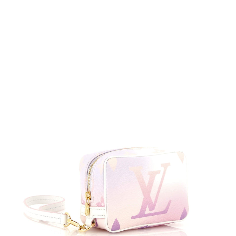 Louis Vuitton Wapity Case Spring In The