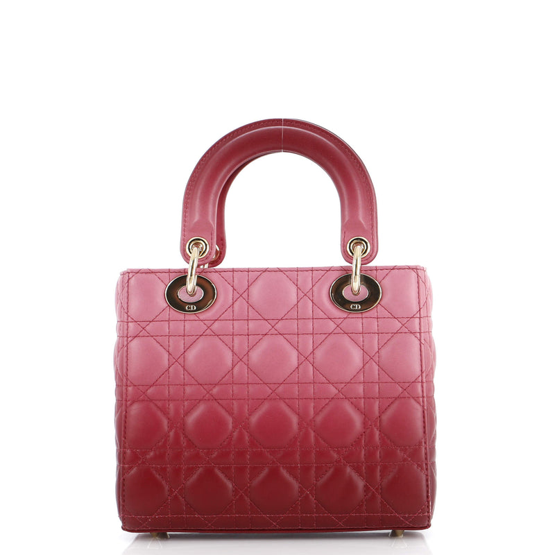 Christian Dior My Abcdior Lady Bag