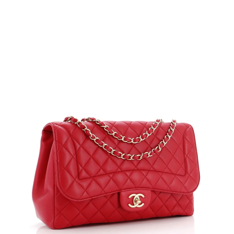 Chanel Mademoiselle Chic Flap Bag