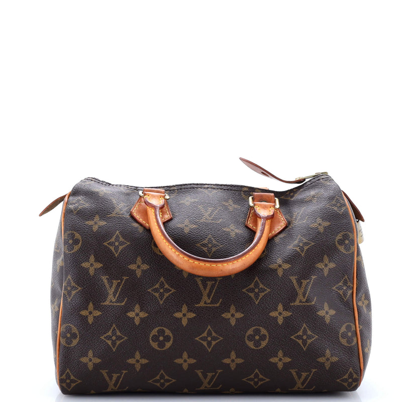 Louis Vuitton Speedy Handbag Canvas 25