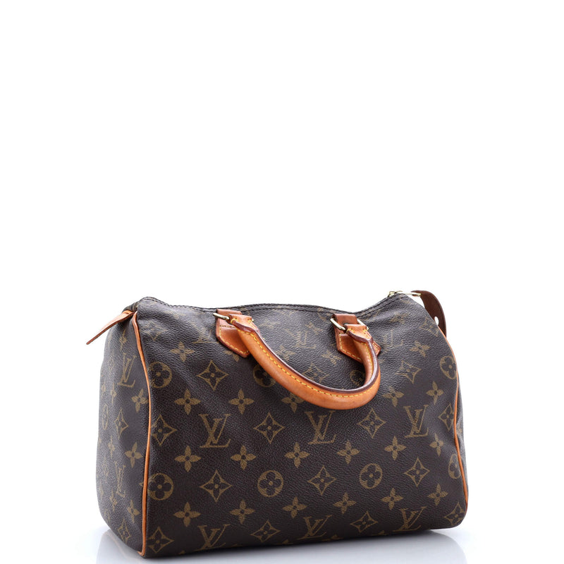 Louis Vuitton Speedy Handbag Canvas 25