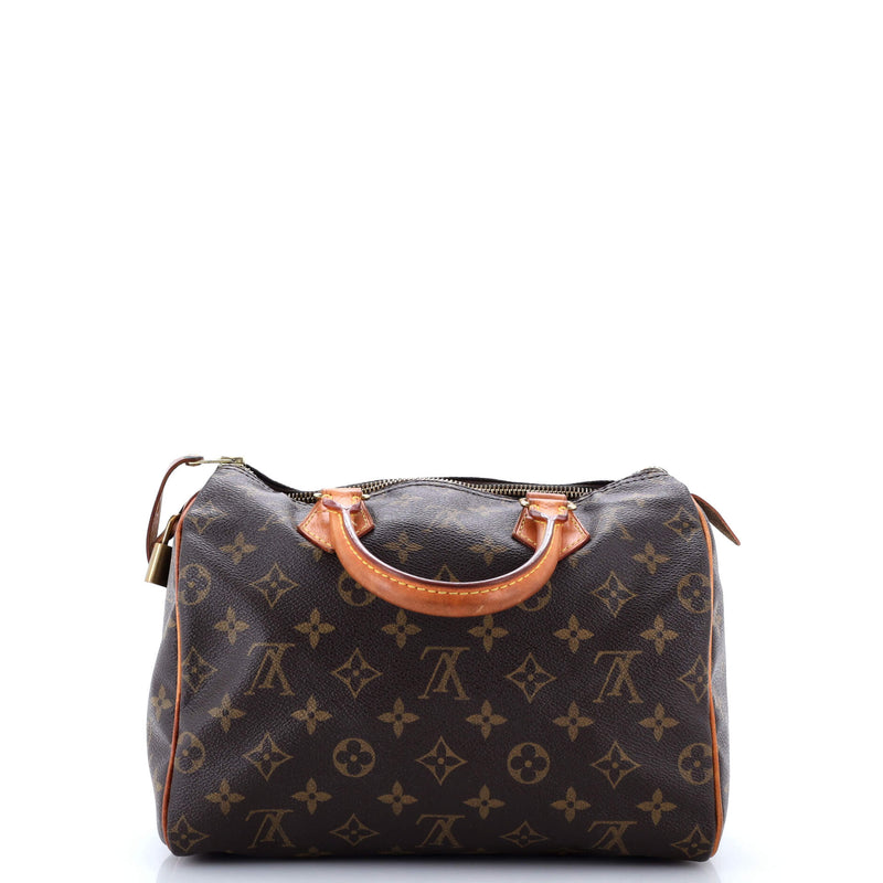 Louis Vuitton Speedy Handbag Canvas 25