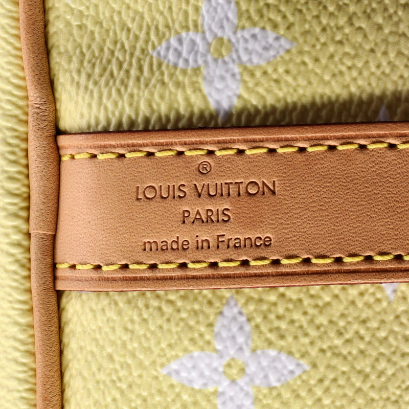 Louis Vuitton Speedy Bandouliere Bag By