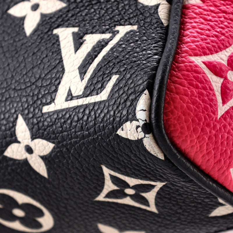 Louis Vuitton Speedy Bandouliere Bag