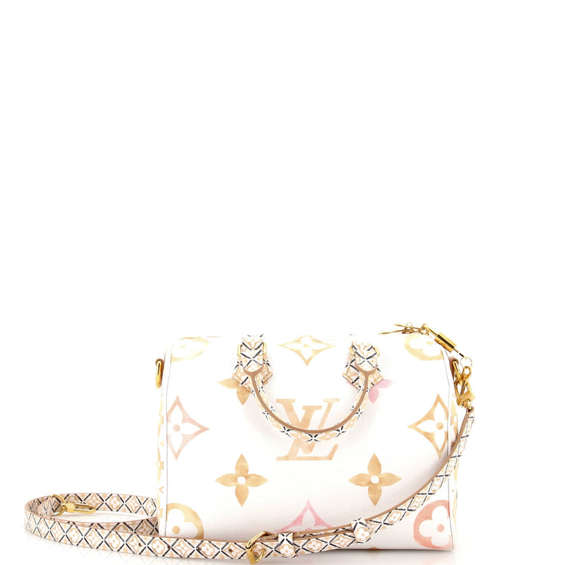 Louis Vuitton Speedy Bandouliere Bag By