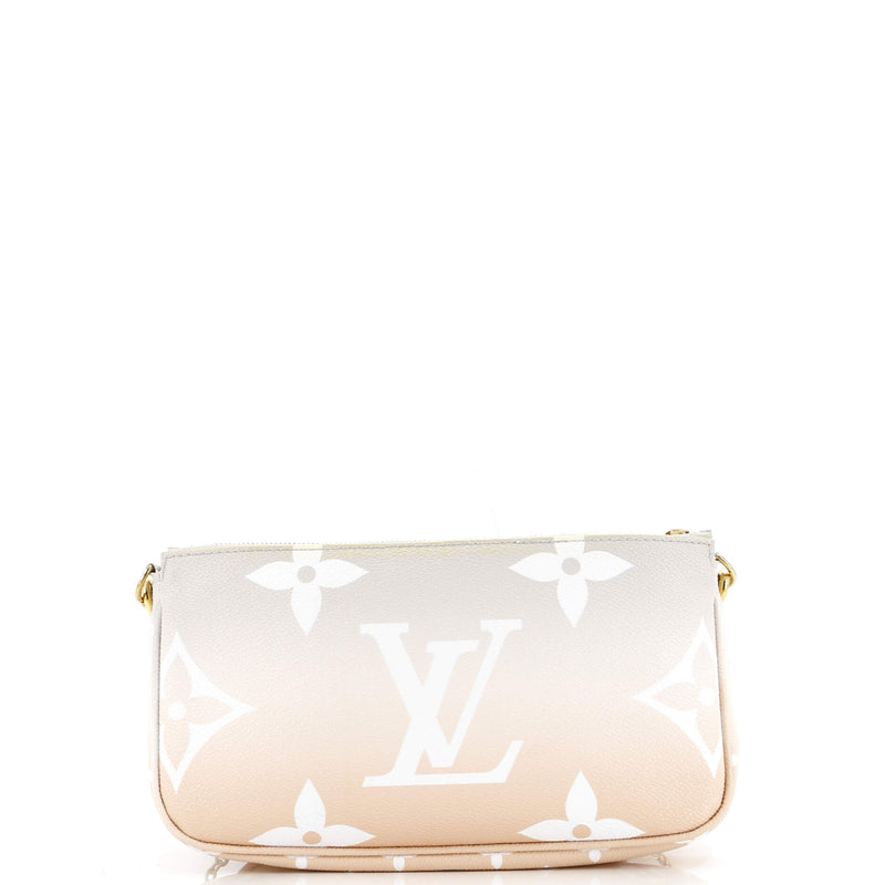 Louis Vuitton Multi Pochette Accessoires