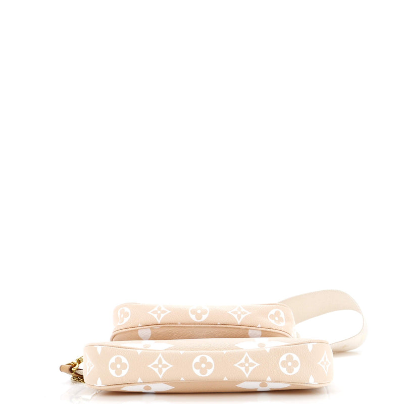 Louis Vuitton Multi Pochette Accessoires