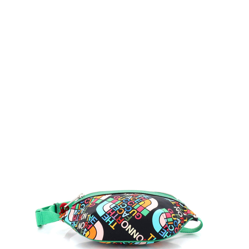 Gucci X The North Face Zip Belt Bag