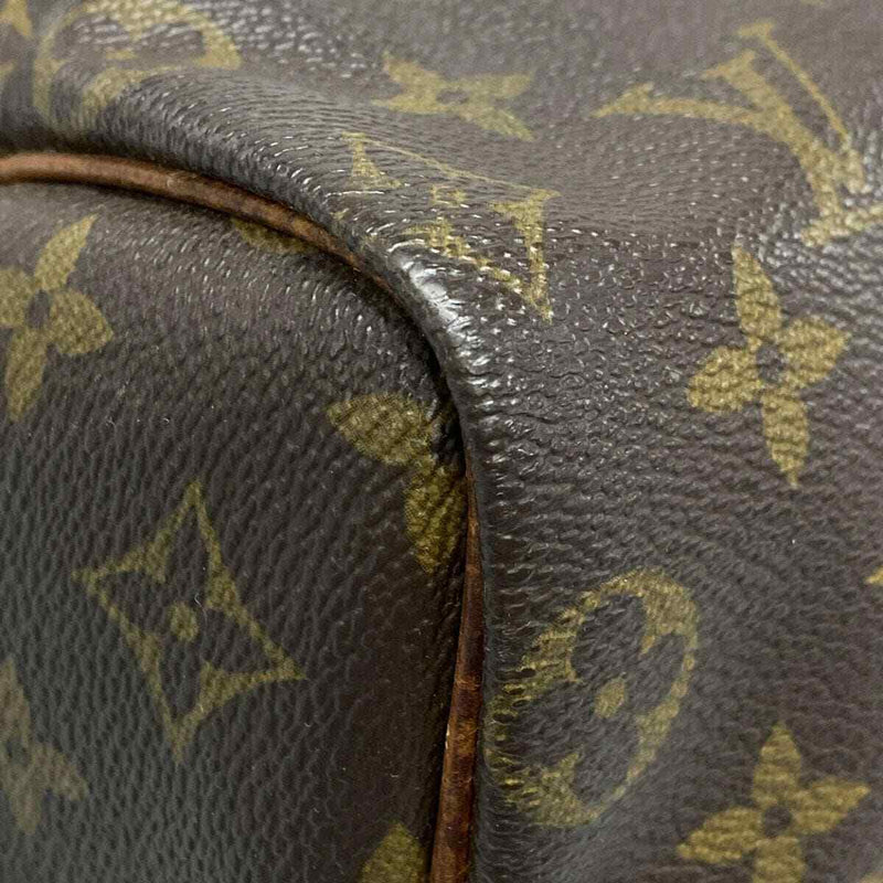 Louis Vuitton Speedy 25 Handbag