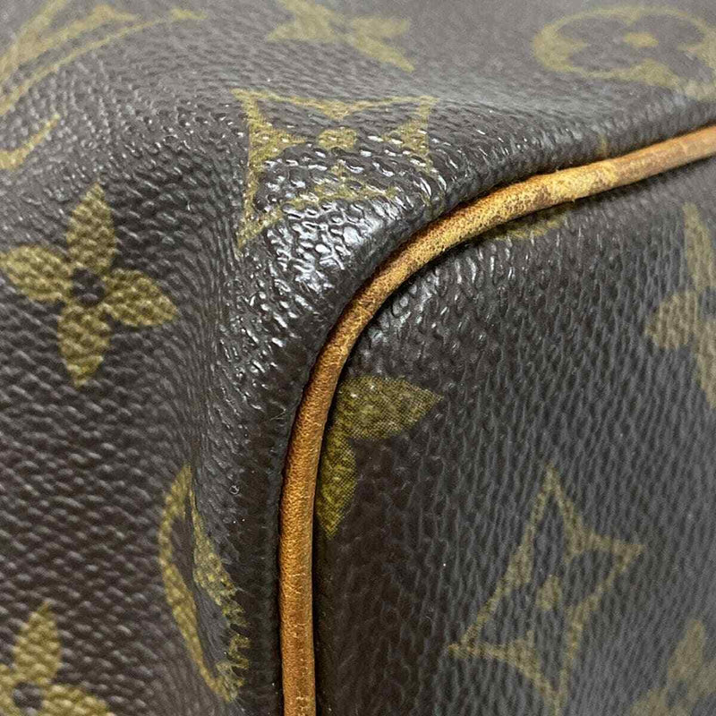 Louis Vuitton Speedy 25 Handbag