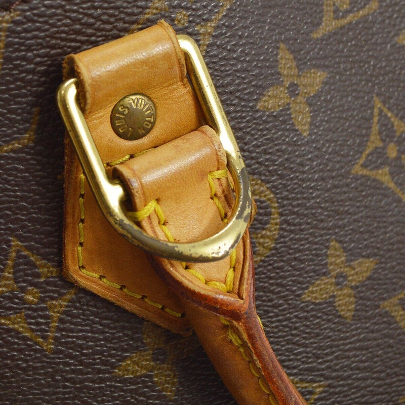 Louis Vuitton Alma Handbag