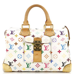 Louis Vuitton Speedy Handbag Multicolor