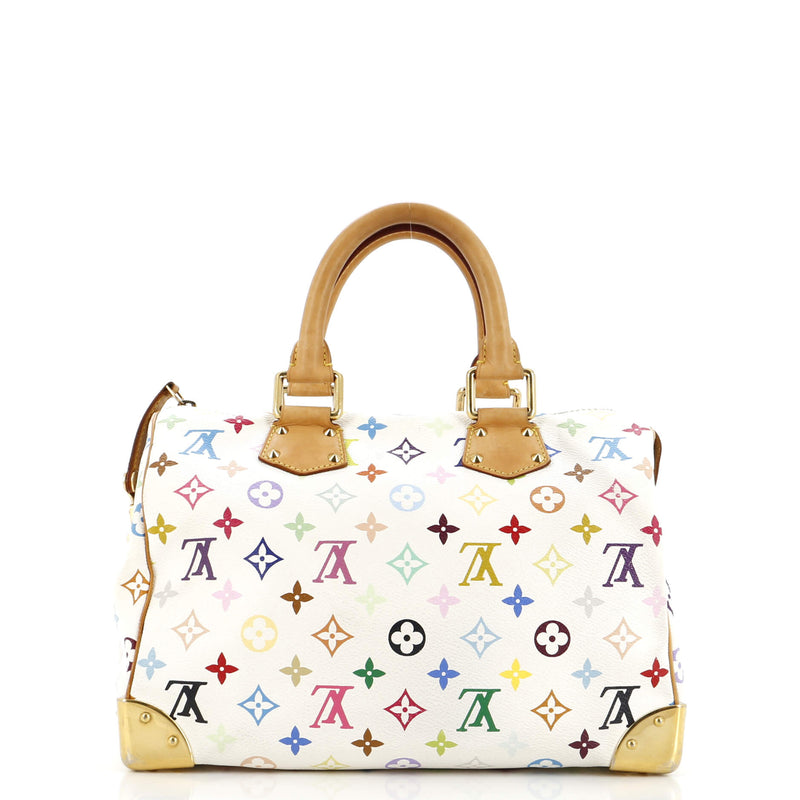 Louis Vuitton Speedy Handbag Multicolor