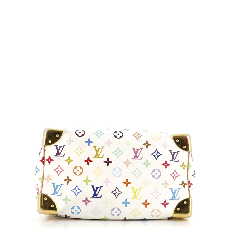 Louis Vuitton Speedy Handbag Multicolor